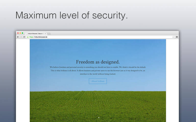 Iridium Browser for Linux